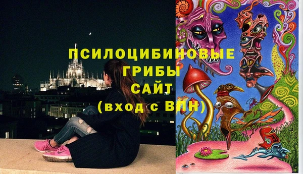 винт Армянск