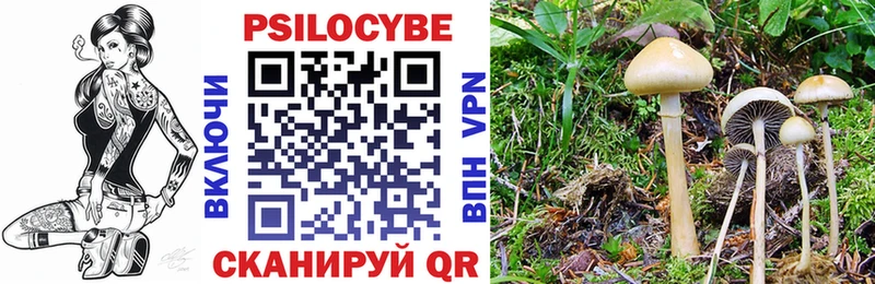 Псилоцибиновые грибы ЛСД  Светлый 